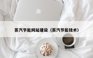 林芝蒸汽节能网站建设（蒸汽节能技术）